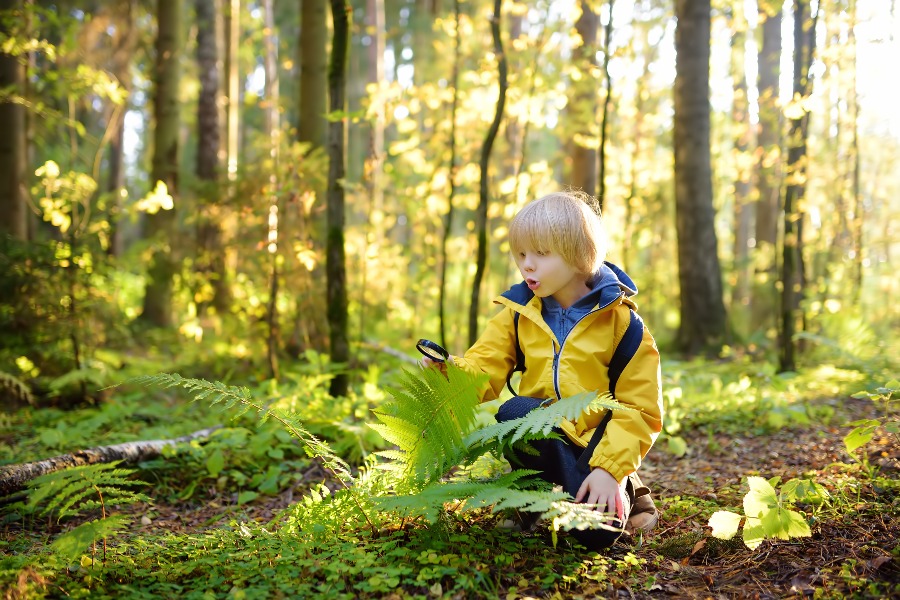 The Power of Nature-Based Education: Outdoor Learning Drives Academic Improvement